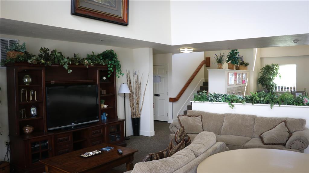 Gallery Photo 25